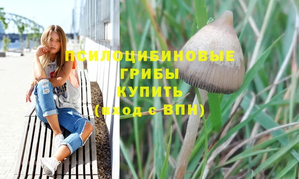 ешки Алексеевка
